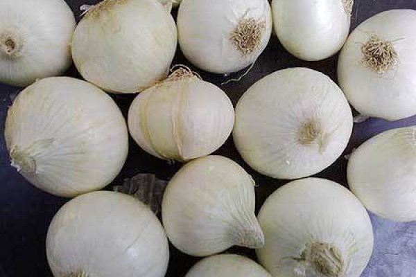 Закладки сайты кракен onion top