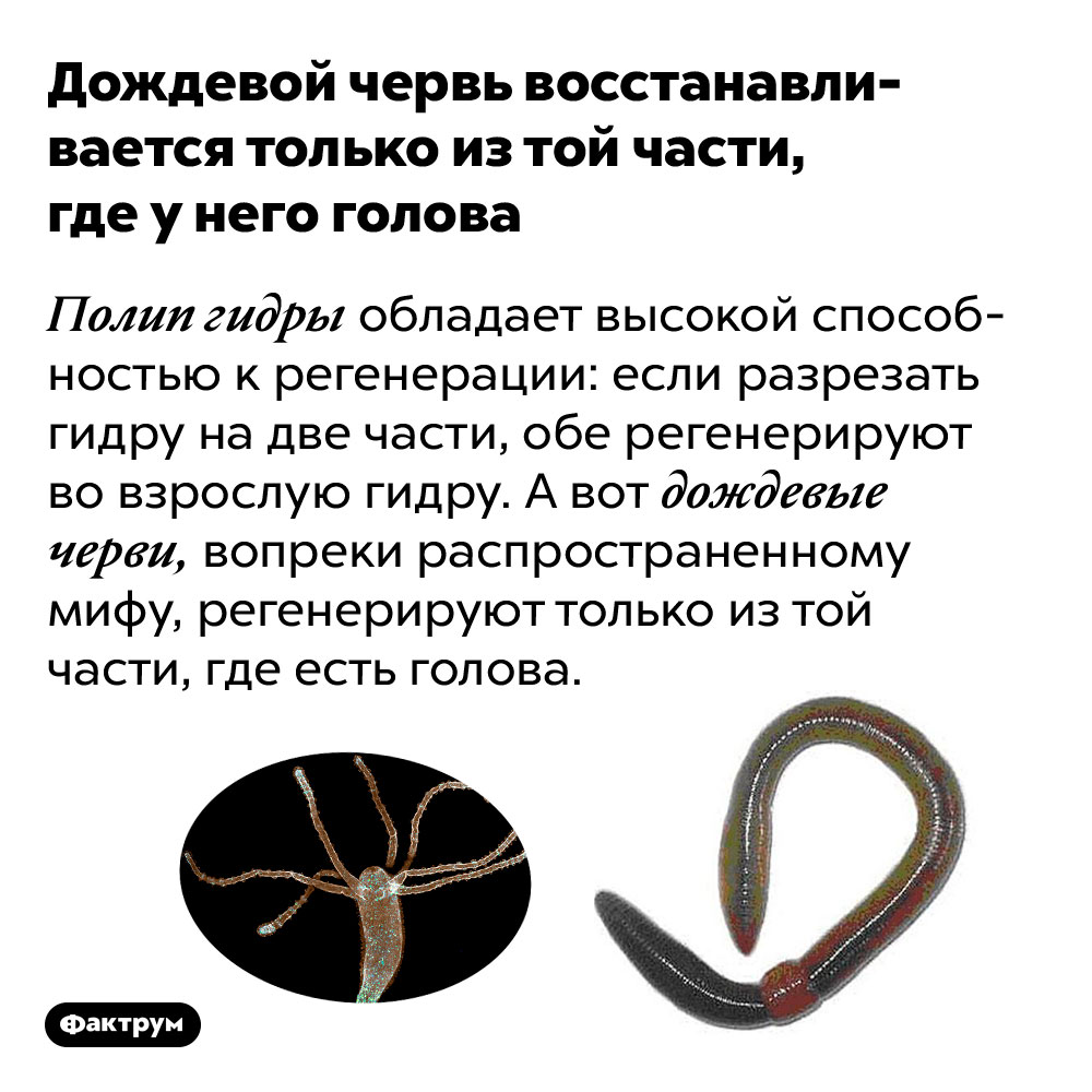 Кракен рабочий сайт